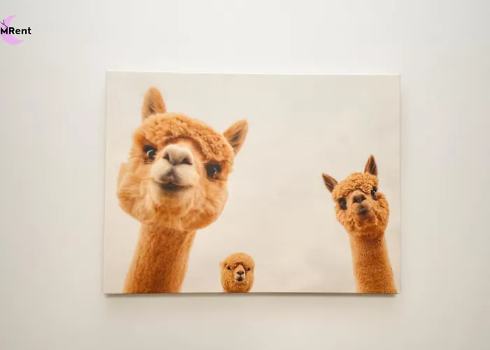 Mmrent Apple * Gdańsk