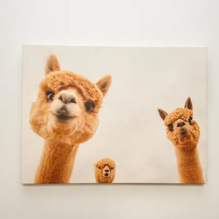 Mmrent Apple * Gdańsk